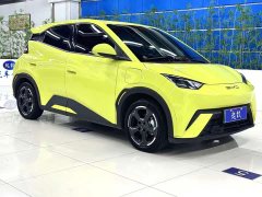 BYD Seagull Free Edition - фото 3