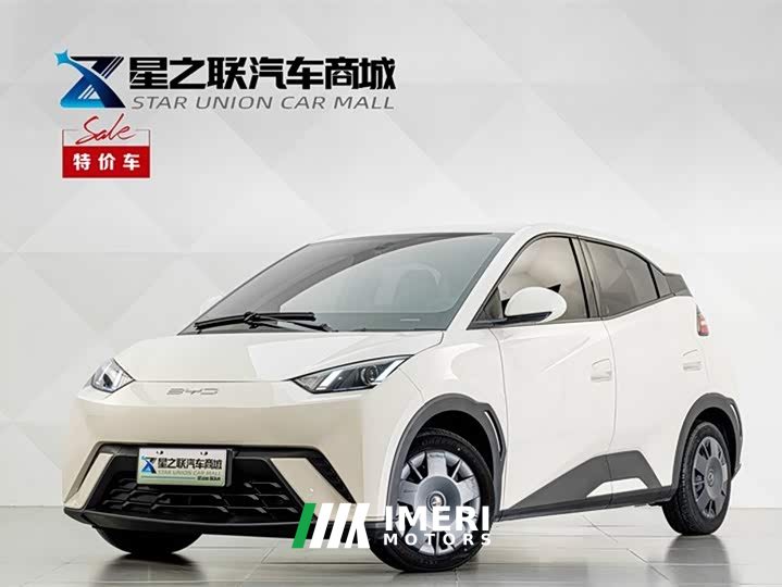 BYD Seagull Vitality Edition