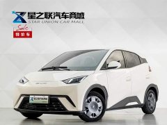 BYD Seagull Vitality Edition - фото 1