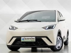 BYD Seagull Vitality Edition - фото 3