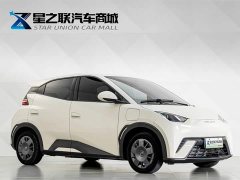 BYD Seagull Vitality Edition - фото 5