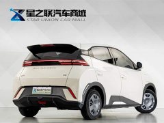 BYD Seagull Vitality Edition - фото 6