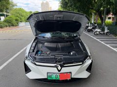 Lexus Lingxi L Player One Edition Super Double Option Package - фото 13