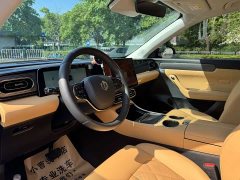 Lynk & Co Leapmoo C11 Pure Electric 580 Exclusive Edition - фото 5