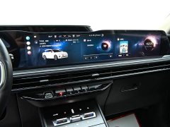 Lexus Corsair 2.0T AWD Presidential - фото 14