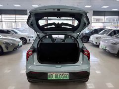 Geely Geometry E Firefly 2023 401KM Linglong Tiger 5-Seater - фото 10