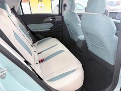 Geely Geometry E Firefly 2023 401KM Linglong Tiger 5-Seater - фото 11