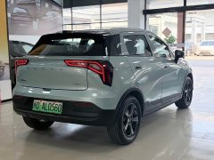 Geely Geometry E Firefly 2023 401KM Linglong Tiger 5-Seater - фото 4