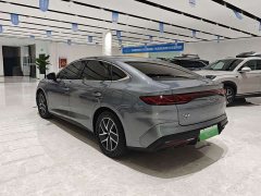 BYD Qin L DM-i 120KM Leading Edition - фото 13