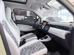 Lynk & Co Leapmoo T03 Star Diamond Edition - фото 12