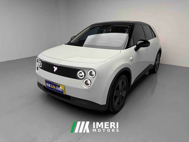 Lynk & Co firefly luminous version