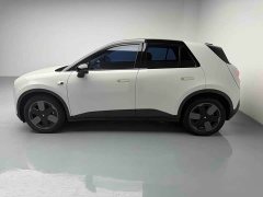 Lynk & Co firefly luminous version - фото 20