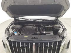 Hongqi HS7 2023 2.0T Automatic 4WD Flagship Edition 7-Seater - фото 6