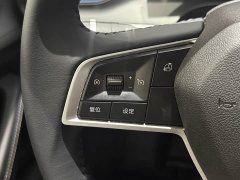 BYD Destroyer 05 Honor Edition DM-i 55KM Luxury Type - фото 10