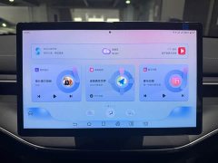 BYD Destroyer 05 Honor Edition DM-i 55KM Luxury Type - фото 15