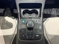 BYD Destroyer 05 Honor Edition DM-i 55KM Luxury Type - фото 16
