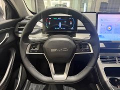 BYD Destroyer 05 Honor Edition DM-i 55KM Luxury Type - фото 9