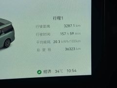 Zeekr 009 6-Seater Executive AWD 108kWh - фото 18