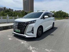 Denza D9 DM-i 980 four-wheel drive premium - фото 1