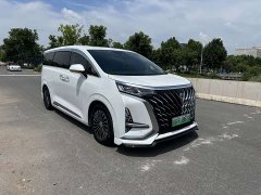 Denza D9 DM-i 980 four-wheel drive premium - фото 19
