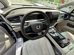 Denza D9 DM-i 980 four-wheel drive premium - фото 4