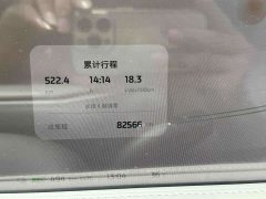 Lexus Zhiji LS6 2023 Max Standard Edition - фото 11