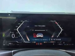 BMW 3 Series 320Li M Sports Package - фото 10