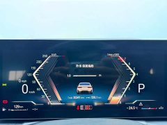 BMW 3 Series 320Li M Sports Package - фото 12