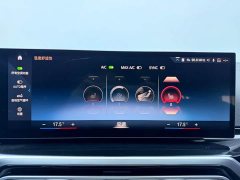BMW 3 Series 320Li M Sports Package - фото 13