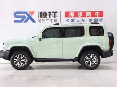 Tank 300 2021 City Edition 2.0T Very Stylish - фото 6