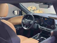 Lexus RX 350h FWD Enjoy Edition - фото 15