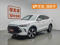 BYD Song PLUS New Energy 2021 DM-i 110KM Flagship PLUS - фото 1
