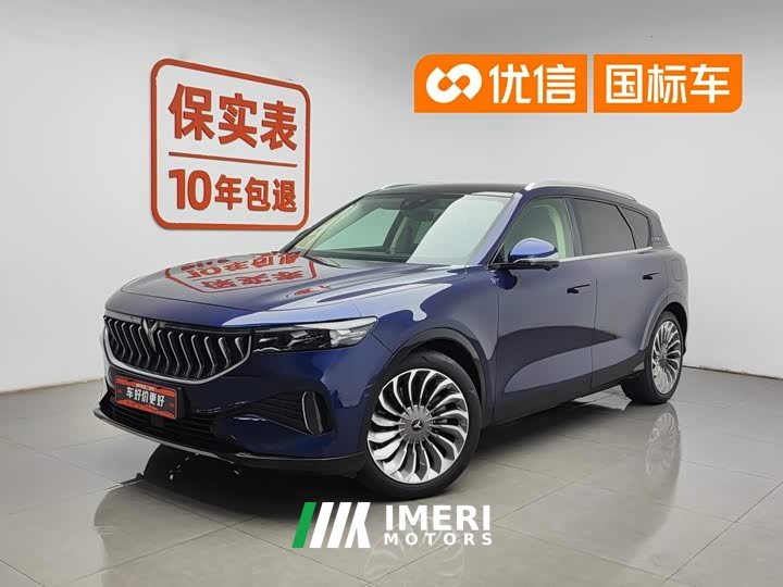 Voyah Lantu FREE 2021 four-wheel drive standard pure electric exclusive luxury package - автомобиль из Китая