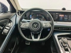 Voyah Lantu FREE 2021 four-wheel drive standard pure electric exclusive luxury package - фото 10