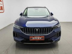 Voyah Lantu FREE 2021 four-wheel drive standard pure electric exclusive luxury package - фото 3