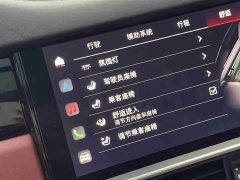 Porsche Cayenne New Energy Cayenne E-Hybrid 2.0T Platinum Edition - фото 18