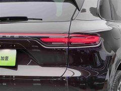 Porsche Cayenne New Energy Cayenne E-Hybrid 2.0T Platinum Edition - фото 20