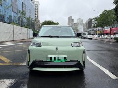ORA White Cat Wild Cat Edition 360km Luxury Type Ternary Lithium - фото 2