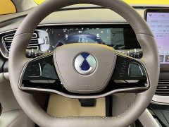 Denza D9 DM-i 970 four-wheel drive flagship - фото 11