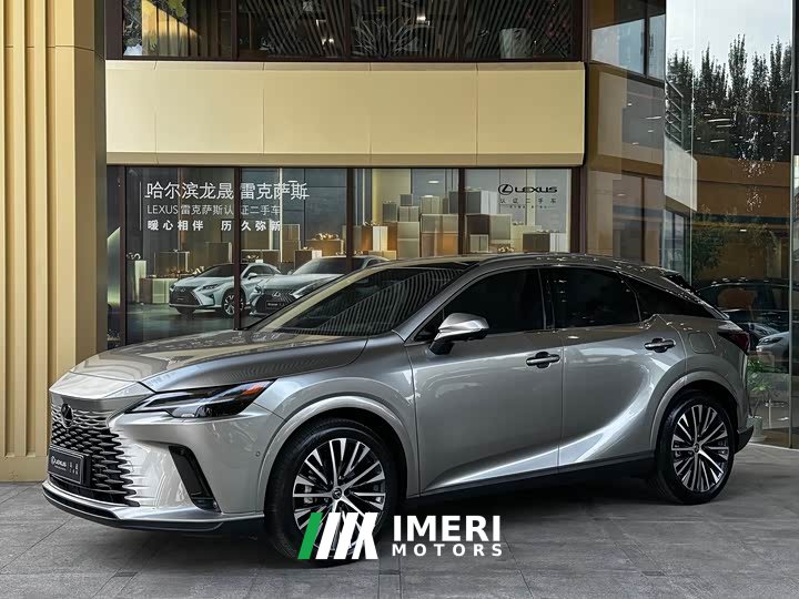 Lexus RX New Energy 450h Four-wheel Drive Enjoyment Edition