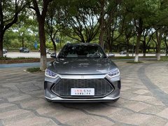 BYD Song PLUS New Energy DM-i 110KM flagship - фото 2