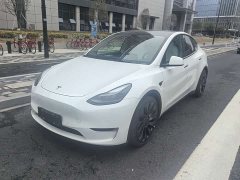 Tesla Model Y 2021 Performance high-performance all-wheel drive version - фото 1