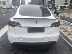 Tesla Model Y 2021 Performance high-performance all-wheel drive version - фото 10