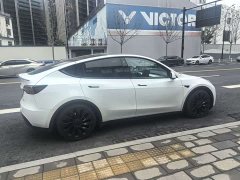 Tesla Model Y 2021 Performance high-performance all-wheel drive version - фото 12