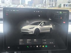 Tesla Model Y 2021 Performance high-performance all-wheel drive version - фото 19