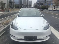 Tesla Model Y 2021 Performance high-performance all-wheel drive version - фото 2