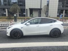 Tesla Model Y 2021 Performance high-performance all-wheel drive version - фото 3