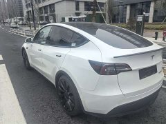 Tesla Model Y 2021 Performance high-performance all-wheel drive version - фото 8