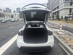 Tesla Model Y 2021 Performance high-performance all-wheel drive version - фото 9