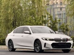 BMW 3 Series 320Li M Sport Package - фото 11